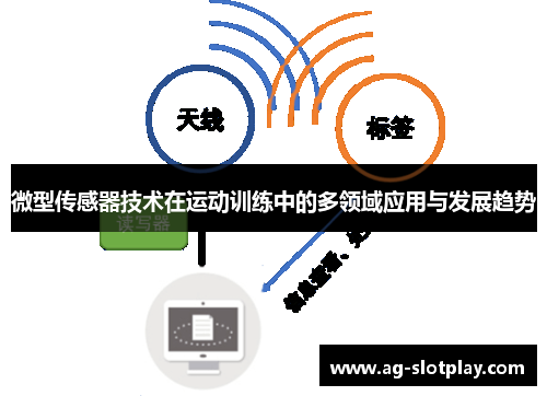 微型传感器技术在运动训练中的多领域应用与发展趋势